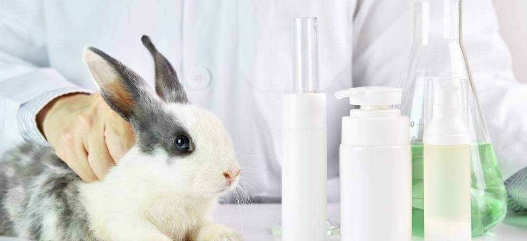 artigo-testes-em-animais-como-funcionam-e-o-que-e-o-mercado-cruelty-free-1110x508 artigo-testes-em-animais-como-funcionam-e-o-que-e-o-mercado-cruelty-free-1110x508