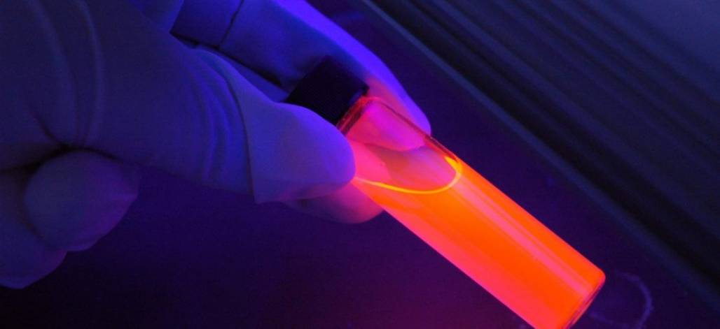 artigo_ciencia-forense-1110x508 artigo_ciencia-forense-1110x508