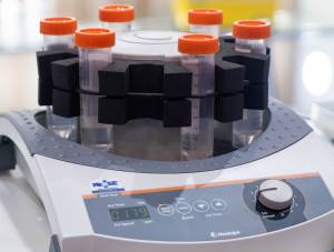 https://www.talkscience.com.br/source/files/c/15155/FCE-Pharma_2021-13-692245_300-227-107-0.jpg