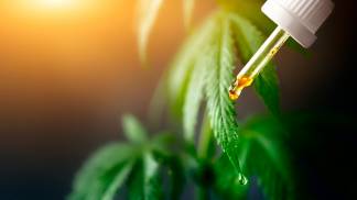 shutterstock-1949988151 shutterstock-1949988151