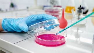 Maio 06 Como os biobancos impulsionam a pesquisa no microbioma humano.jpg