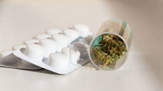 06 Julho Cannabis e biotecnologia impulsionam uma nova geracao de medicamentos