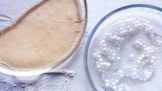 04 Setembro Microplasticos em cosmeticos e o futuro das formulacoes sustentaveis jpg.jpg
