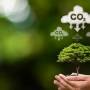 Os desafios de comprovar a baixa emissão de carbono